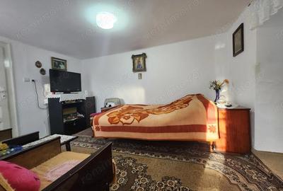 Casa individuala - zona Sagului - 300mp teren - 4 camere - 152.000 Euro - 10