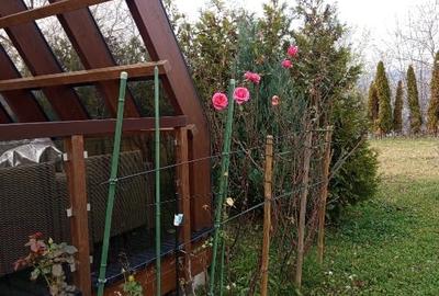 Property 7500m2 a hillside - 6