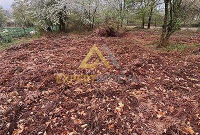 Teren de 1000 mp, în Groși - 5