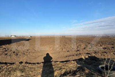 Casă cu 3 camere cu Teren 5000 Mp în Central - 4