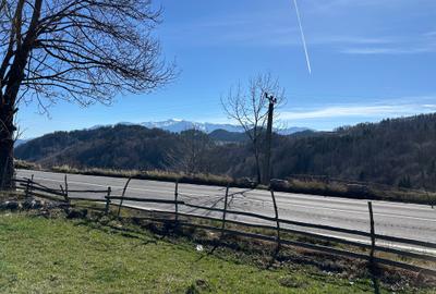 Teren intravilan 2500 mp Fundata la 15 km de  zona Bran-Moeciu - 3