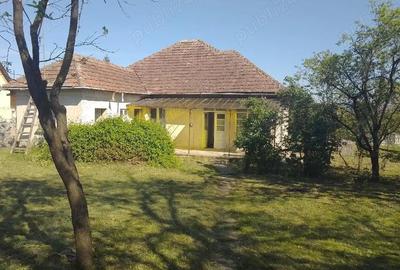Casă cu 3 camere cu Teren 4123 Mp în Viile Satu Mare - 1