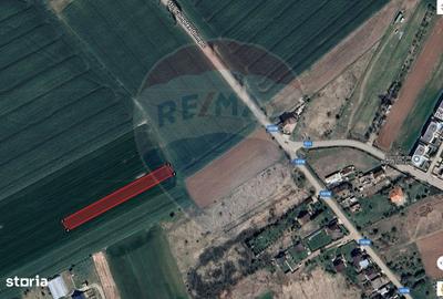 Teren de 1858 mp, în Ciolpani - 2