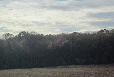 Teren Construcții intravilan de 430 mp, în Domnești - 18