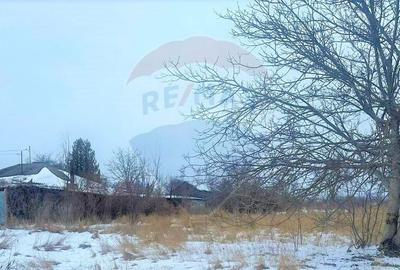 Teren Construcții intravilan de 6716 mp, în Izvoare - 6