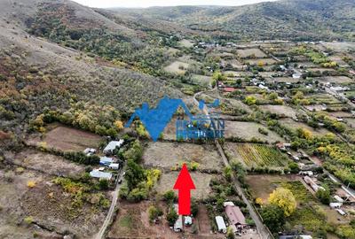 Teren intravilan NICULITEL, zona deosebita, 3044MP - 1