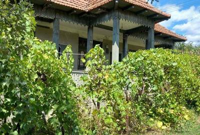 Vand casa Vagiulesti - 2