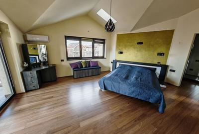 Vila S+P+M   Dumbravita - 13