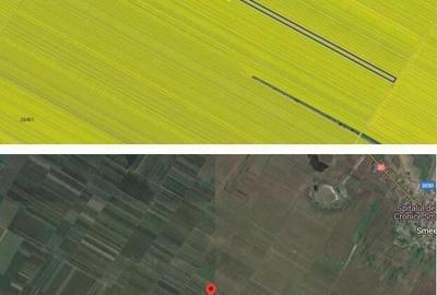 Cota 1/4 teren extravilan Gheraseni, jud. Buzau - R2070447 - 1