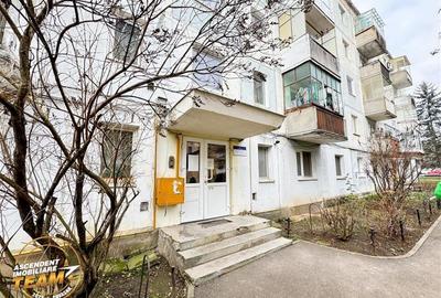 Camin primitor si luminos, 2 camere, terasa, facilitati, Simeria, Sfantu Gheorgh - 17