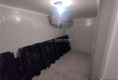 Spațiu comercial, de 230 mp, în Moldova Nouă - 5