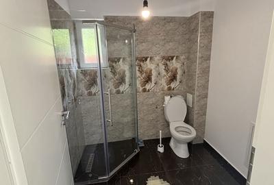 Casă cu 4 camere în Gura Râului - 3