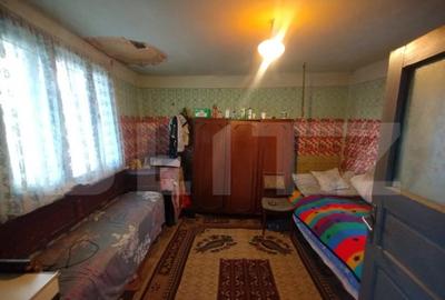 Casa batraneasca,55mp utili, teren aferent 2700mp+1ha teren - 3