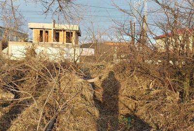 Teren Frumusani stradal Teren Frumusani stradal - 4