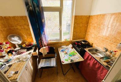 Garsoniera 25mp DALLAS - 22