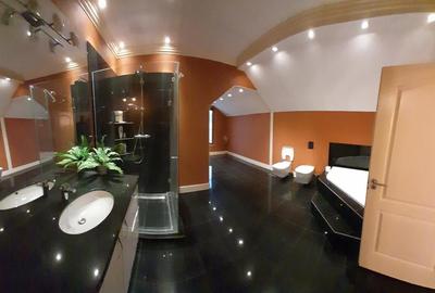 Inchiriere 2 vile de lux la Izvorani, piscina, SPA - 15