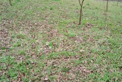Teren de 3000 mp, în Călărași - 3