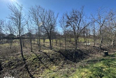 Teren de 960 mp, în Păulești - 2