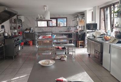 RESTAURANT DE VÂNZARE-COM. OBREJA\SAT IAZ\CARAȘ SEVERIN - 18