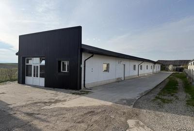 Spațiu comercial, de 375 mp, în Nicolae Bălcescu - 2