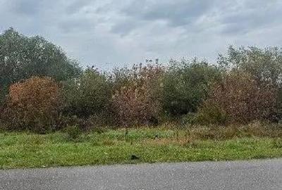 Teren extravilan Bacesti, ID: R2822108 - 5