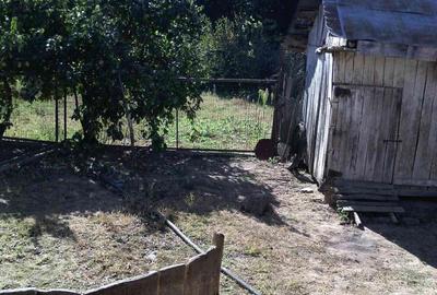 Casă cu 5 camere cu Teren 3000 Mp în Orevița Mare