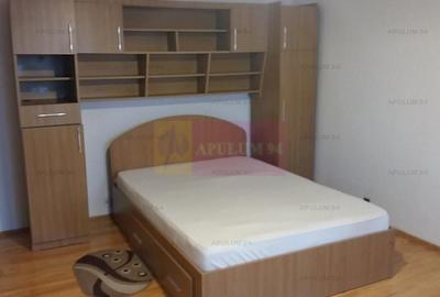 Garsonieră decomandată, mobilată în Dristor - 3