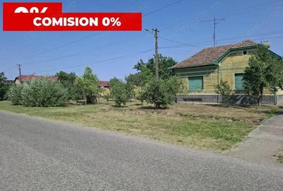 CASA MARE in Nadlac cu teren generos 2095mp - 3