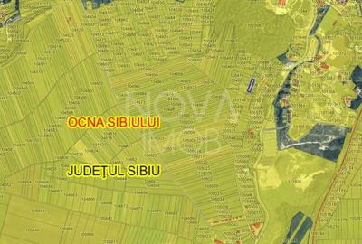 Teren agricol extravilan de 2491 mp, în Vest - 2