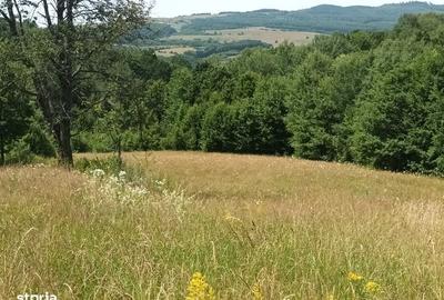 Teren de 2500 mp, în Central - 2