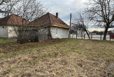 Casă cu Teren 4000 Mp în Sălbăgelu Nou - 3