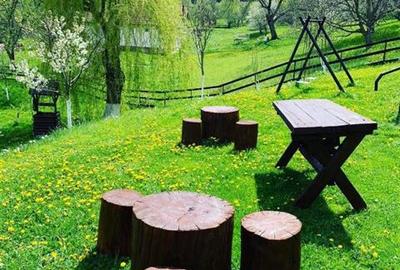 Hotel/Pensiune, de 250 mp, în Bran - 5