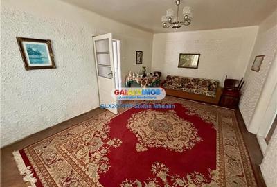 VANZARE CASA BATRANEASCA - 2.656 MP TEREN - ROMANESTI, PRAHOVA - 10
