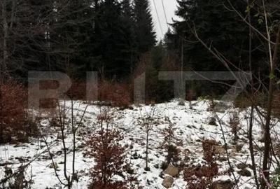 Teren de 4000 mp, în Calea Moroieni - 6