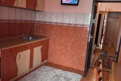Apartament cu 2 camere decomandat în Păcurari - 4