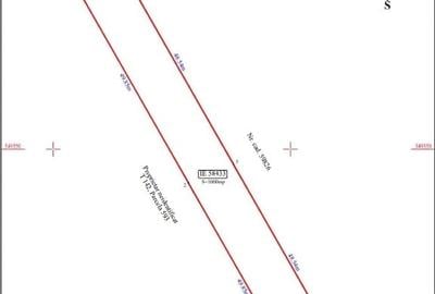 Teren intravilan 1000 mp – asfalt, utilități în apropiere – Moara Vlăsiei - 5