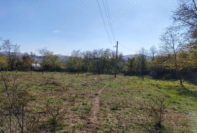 Teren 10000mp.Loc Calvini - 2