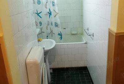 De inchiriat apartament cu o camera in zona Gara de nord - 9