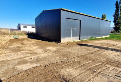 Spațiu comercial, în Cleja - 4