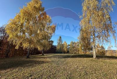 Oportunitate de investiție ! Teren de vis în Pestera - 125.370 mp - 32