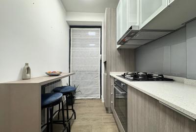 INCHIRIERE 3 CAMERE LUX- MOBILAT SI UTILAT -IMOBIL  2018-- ZONA UNIRII/ TRIBUNAL - 20