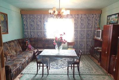 Bradisoru de Jos, Casa 14 Incaperi + Teren 1439MP - 17