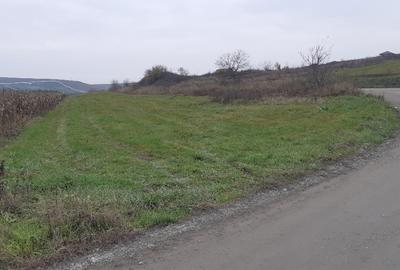 Teren de 8000 mp, în Central