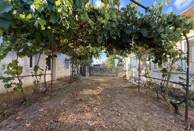 Casă individuală cu 5 camere cu Teren 1518 Mp în Cheresig - 5