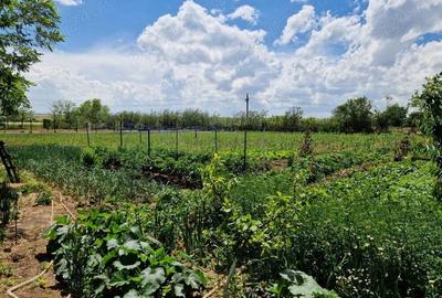 Vand casa in Vadu - Constanta Vand casa in Vadu - Constanta - 4