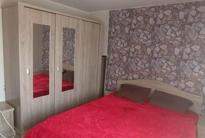 Apartament 2 camere de inchiriat City Park Mall - 9