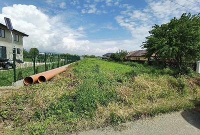 Teren de 3458 mp, în Lipănești