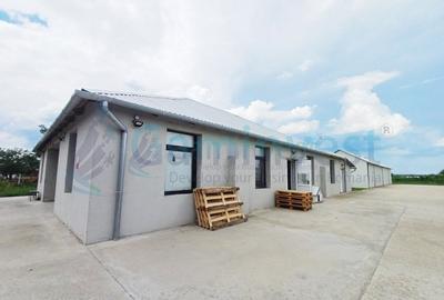 Spațiu industrial, de 1,290 mp, în Sălard - 10