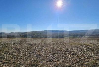 Teren extravilan, 17.000 mp, zona Almasu Mic - 2