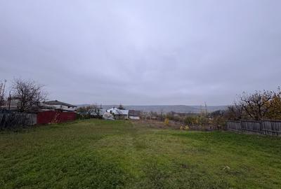 Teren intravilan Valea Lupului - 2